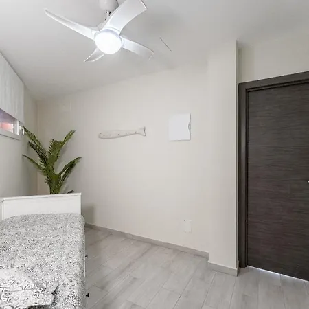In The Orlando Complex Apartment *